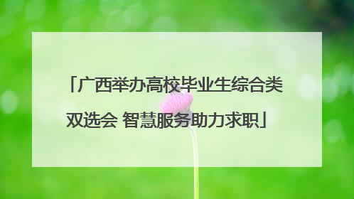 广西举办高校毕业生综合类双选会 智慧服务助力求职