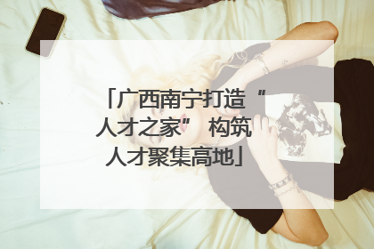 广西南宁打造“人才之家” 构筑人才聚集高地