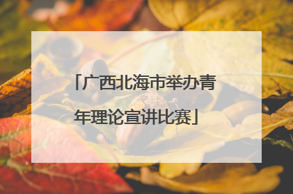 广西北海市举办青年理论宣讲比赛