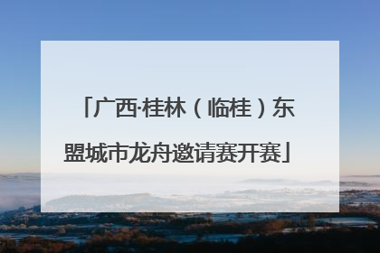 广西·桂林（临桂）东盟城市龙舟邀请赛开赛