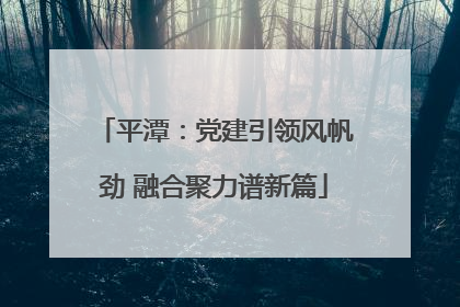 平潭：党建引领风帆劲 融合聚力谱新篇
