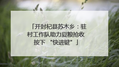 开封杞县苏木乡：驻村工作队助力夏粮抢收按下 “快进键”