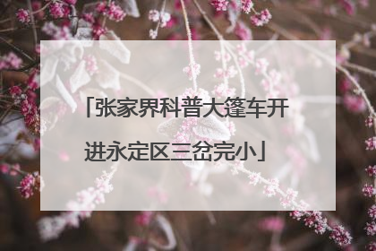 张家界科普大篷车开进永定区三岔完小