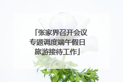 张家界召开会议专题调度端午假日旅游接待工作