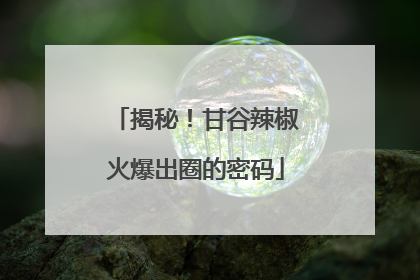 揭秘！甘谷辣椒火爆出圈的密码