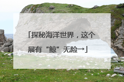 探秘海洋世界，这个展有“鲸”无险→