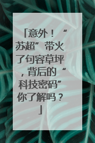 意外！“苏超”带火了句容草坪，背后的“科技密码”你了解吗？