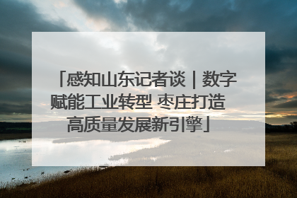 感知山东记者谈｜数字赋能工业转型 枣庄打造高质量发展新引擎