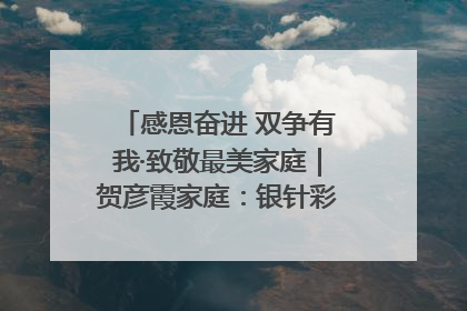 感恩奋进 双争有我·致敬最美家庭｜贺彦霞家庭：银针彩线绣出好日子