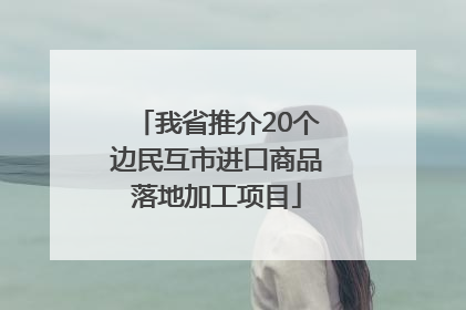 我省推介20个边民互市进口商品落地加工项目