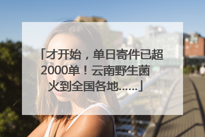 才开始，单日寄件已超2000单！云南野生菌火到全国各地……