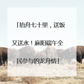 抬舟七十里，送饭又送水！麻阳端午全民参与的龙舟情