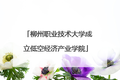 柳州职业技术大学成立低空经济产业学院