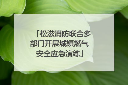 松滋消防联合多部门开展城镇燃气安全应急演练