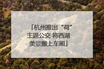 杭州推出“荷”主题公交 将西湖美景搬上车厢