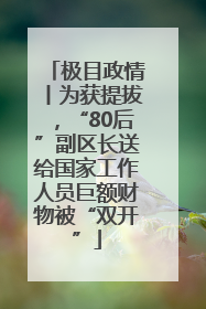 极目政情丨为获提拔，“80后”副区长送给国家工作人员巨额财物被“双开”