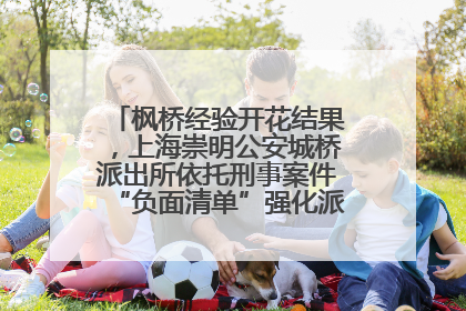 枫桥经验开花结果，上海崇明公安城桥派出所依托刑事案件“负面清单”强化派出所“主防”