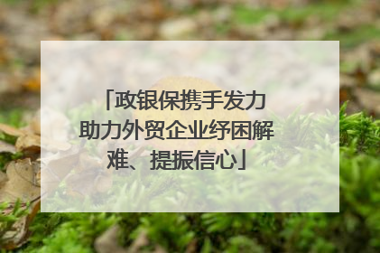 政银保携手发力 助力外贸企业纾困解难、提振信心