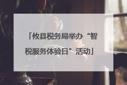 攸县税务局举办“智税服务体验日”活动