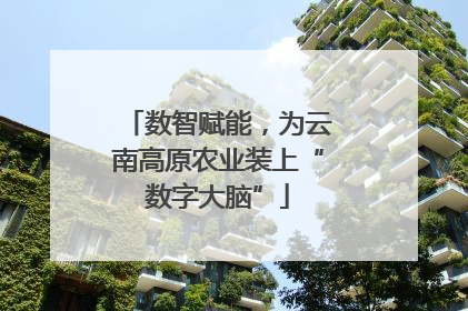 数智赋能，为云南高原农业装上“数字大脑”
