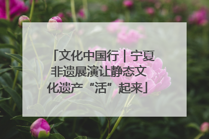 文化中国行｜宁夏 非遗展演让静态文化遗产“活”起来