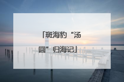 斑海豹“汤圆”归海记