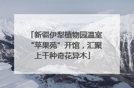 新疆伊犁植物园温室“苹果苑”开馆，汇聚上千种奇花异木