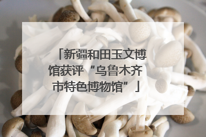 新疆和田玉文博馆获评“乌鲁木齐市特色博物馆”