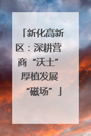 新化高新区：深耕营商“沃土” 厚植发展“磁场”