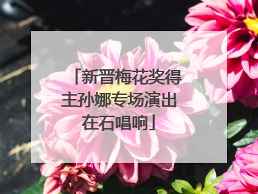 新晋梅花奖得主孙娜专场演出在石唱响