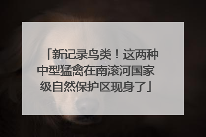 新记录鸟类！这两种中型猛禽在南滚河国家级自然保护区现身了