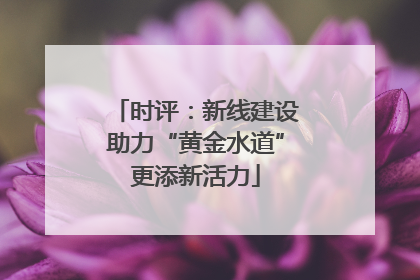 时评：新线建设助力“黄金水道”更添新活力