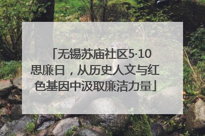 无锡苏庙社区5·10思廉日，从历史人文与红色基因中汲取廉洁力量