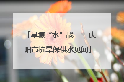 旱塬“水”战——庆阳市抗旱保供水见闻