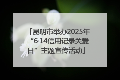 昆明市举办2025年“6·14信用记录关爱日”主题宣传活动