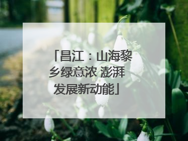 昌江：山海黎乡绿意浓 澎湃发展新动能