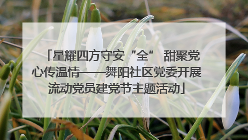 星耀四方守安“全” 甜聚党心传温情——舞阳社区党委开展流动党员建党节主题活动
