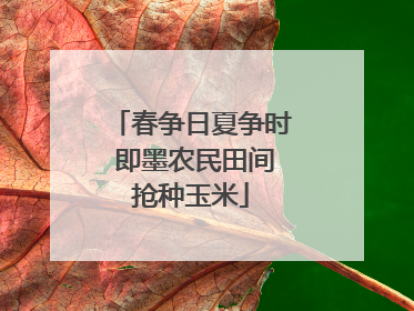 春争日夏争时 即墨农民田间抢种玉米