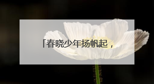 春晓少年扬帆起，奋楫乘风破万里