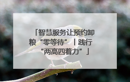 智慧服务让预约卸粮“零等待”丨践行“两高四着力”