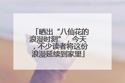 晒出“八仙花的浪漫时刻”，今天，不少读者将这份浪漫延续到家里