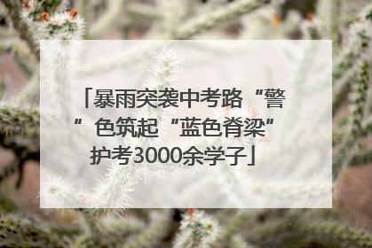 暴雨突袭中考路“警”色筑起“蓝色脊梁”护考3000余学子