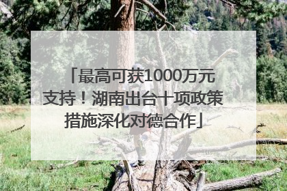 最高可获1000万元支持！湖南出台十项政策措施深化对德合作