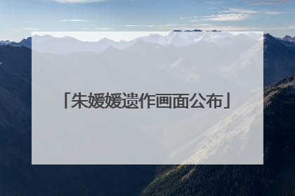 朱媛媛遗作画面公布