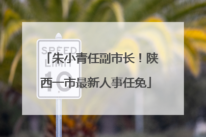 朱小青任副市长！陕西一市最新人事任免