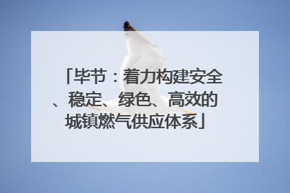 毕节：着力构建安全、稳定、绿色、高效的城镇燃气供应体系