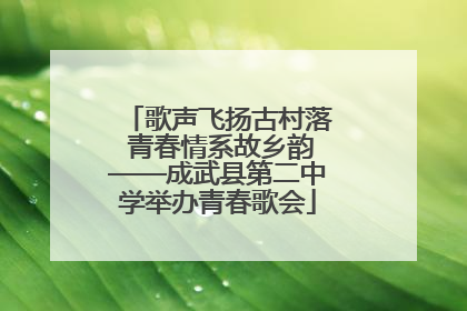 歌声飞扬古村落 青春情系故乡韵——成武县第二中学举办青春歌会