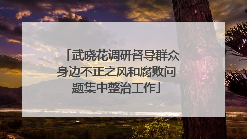 武晓花调研督导群众身边不正之风和腐败问题集中整治工作