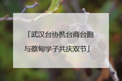 武汉台协携台商台胞与蔡甸学子共庆双节