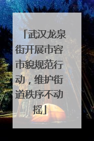 武汉龙泉街开展市容市貌规范行动，维护街道秩序不动摇